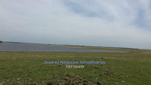 Excelente Campo Con Costa Al Río Negro, 215 Há.