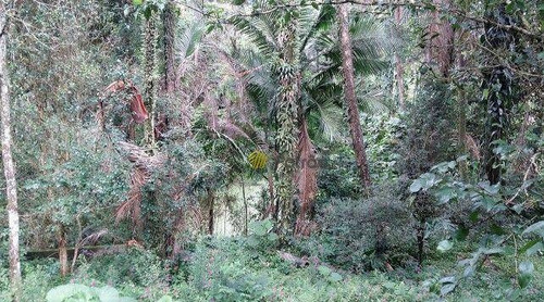 Imagem 8 de 30 de Terreno À Venda, 4489 M² Por R$ 900.000 - Demarchi - São Bernardo Do Campo/sp - Te0326
