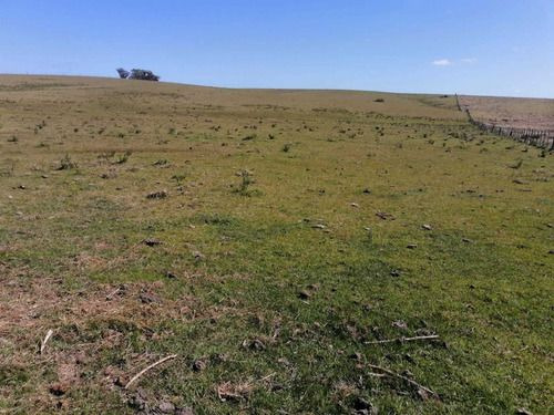 Venta De 30 Hectáreas De Campo En Garzón Maldonado (ref: Ksk-222)