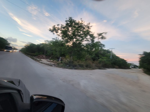 Vendo Hectarea Alamos Uso De Suelo Mb