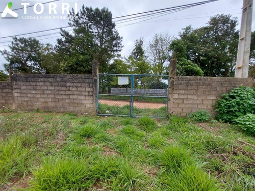 Imagem 2 de 4 de Terreno À Venda Em Ibiúna - Te00782 - 69892376