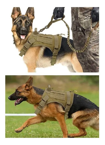 Arnés Táctico Profesional Ajustables Para Perros Grandes