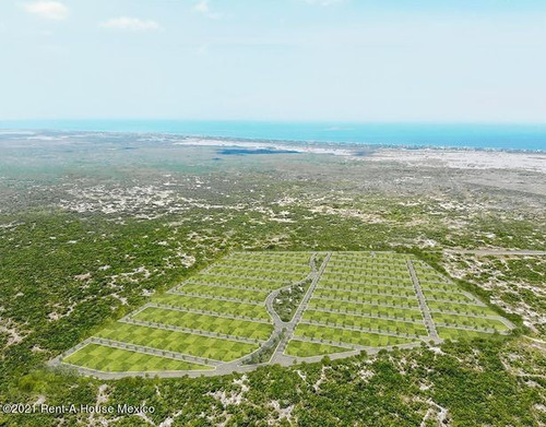 Imagen 1 de 5 de Terreno En Venta En Chicxulub