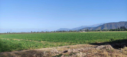 Imagen 5 de 7 de Oportunidad!!!, Terreno Agricola 30 Hectareas