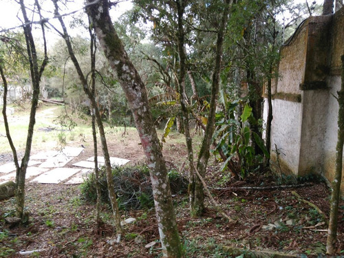 Imagem 5 de 20 de Terreno À Venda Com 600m² Por R$ 230.000,00 No Bairro Butiatuvinha - Curitiba / Pr - 402t