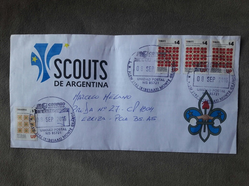 Sobre Conmemorativo Scout De Argentina