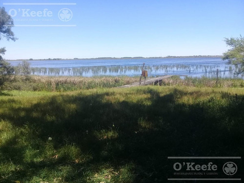 Imagen 11 de 25 de Campo En Venta En Lezama - 530 Has. Ideal Turismo Rural Con Laguna. Pesca - Retasado