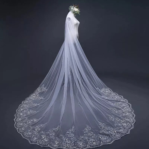 4m Una Capa Mujer Trailing Cathedral Velo De Novia Largo Emb