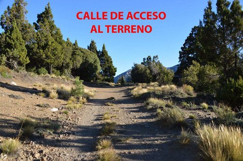 Imagen 7 de 11 de Venta Terreno En Meliquina Lote 5 Mza 16 988,83 M2
