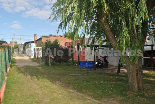 Imagen 6 de 14 de En Venta Dos Casas Y Un Galpón En El Mismo Padrón Colonia Del Sacramento
