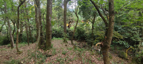 Terreno Enventa En Piedra De Agua En Jilotepec Veracruz