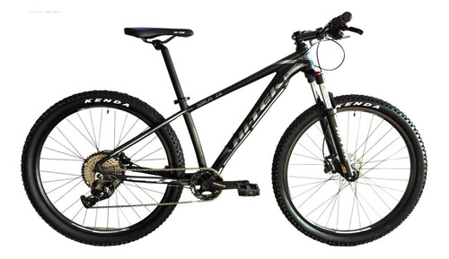 Mountain bike Hi-Tek Rika Sport R29 M 10v frenos de disco hidráulico cambios LTWOO A7 color negro/gris metal