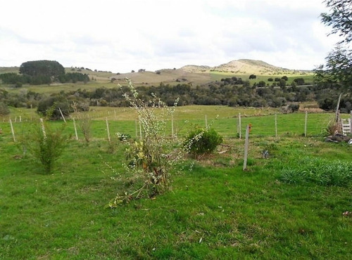 Campo En Aiguá