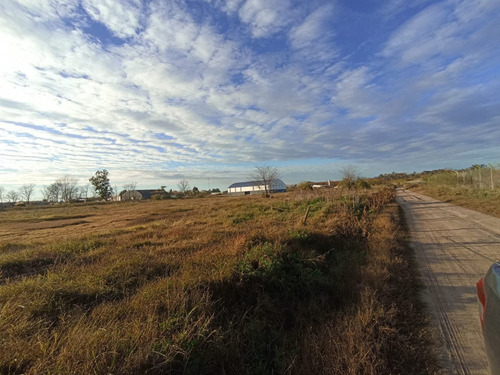 Imagen 3 de 8 de Venta De Terreno En Chascomus