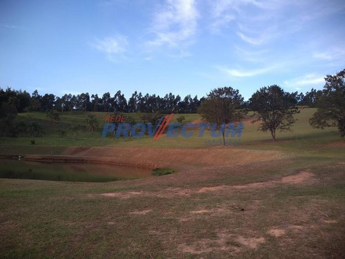 Imagem 8 de 8 de Terreno À Venda Em Joaquim Egídio - Te263171
