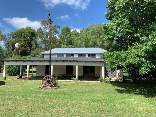 Imagen 8 de 30 de Campo En Venta En Bavio | Ruta 11 E/el Pino Y Km.42 (bavio) 19 Has