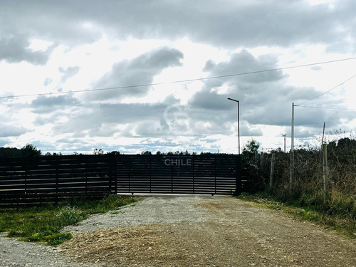 Acceso A Rio Llico Y Vista A Bosques