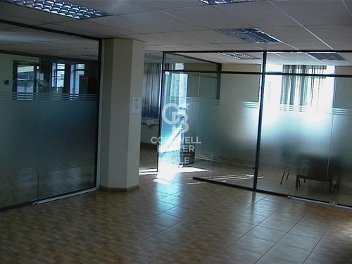 Gran Propiedad Comercial Para Empresa