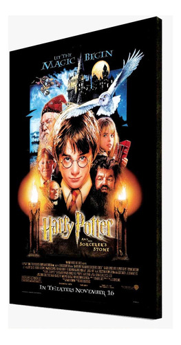 Harry Potter - Cuadros De Tus Películas Favoritas - Decorá