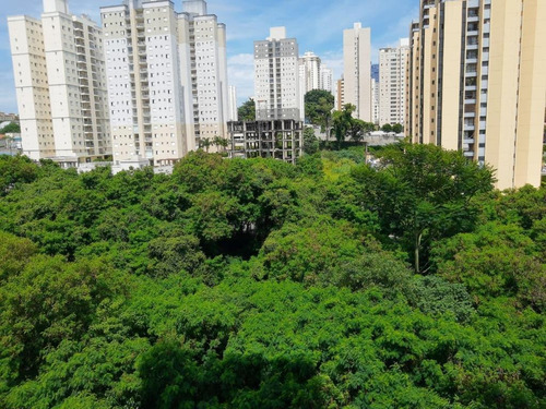Imagem 15 de 27 de Apartamento Para Alugar, 80 M² Por R$ 2.000,00/mês - Mansões Santo Antônio - Campinas/sp - Ap0007