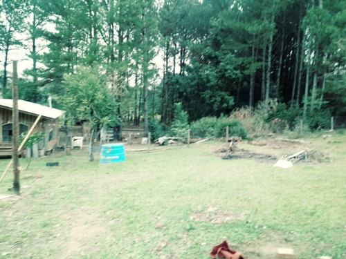 Chácara 2.500 M² - Morungava - Gravataí - Rs - 2204 - 34381840