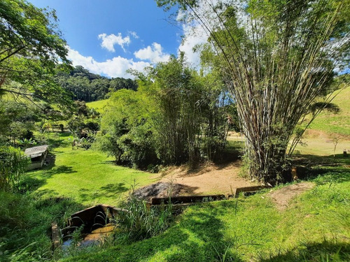 Imagem 28 de 30 de (110.000,00 M²) Lindo Imóvel À Venda, Com Boa Área Em Pasto E Com Infraestrutura Completa Para Montar Um Pesqueiro Ou Alugar Para Eventos. - 110 - 71036149