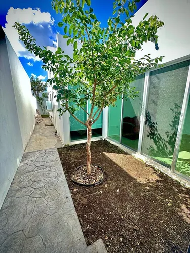 Casa Semiamueblada En Gran Santa Fe