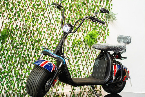 Imagem 1 de 13 de Scooter Eletrica 1500 Gloov