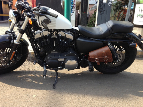 Imagen 1 de 8 de Alforja Basculante Para Sportster