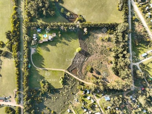Imagen 3 de 30 de Alquiler Temporario Y Venta De Chacra En Ruta 10