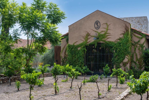 Venta De Terreno En Viñedo La Santisima Trinidad, San Miguel De Allende