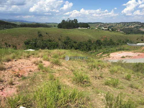 Imagem 6 de 10 de Terreno De 5000 M2, Vista Linda Da Cidade - Te2191