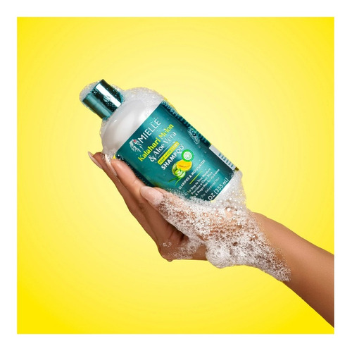Mielle Shampoo Aloe Vera 355 Ml