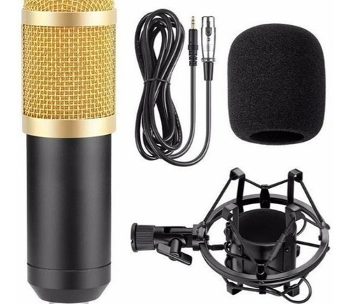 Microfone Podcast Estúdio Profissional P/gravação Bm800 Cor Dourado Dourado