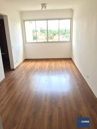 Apartamento Para Alugar Com 2 Quartos Na Chácara Santo Antonio - 62029252