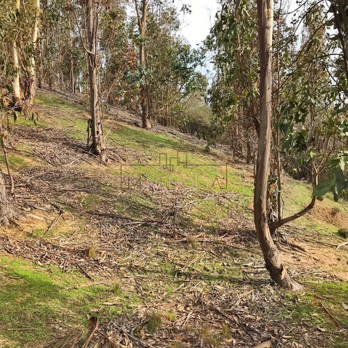 Sitio En Venta En Condomino Almar, Comuna De Navidad.