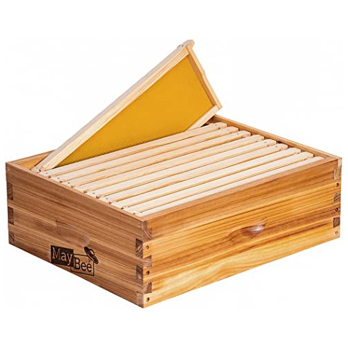 Caja De Colmena De 10 Marcos De Madera Langstroth, Caja...