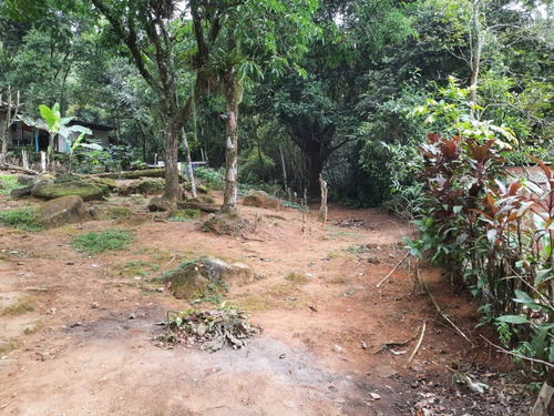 Imagem 10 de 30 de Chácara Em Parque Xerém, Duque De Caxias/rj De 710000000m² 2 Quartos À Venda Por R$ 400.000,00 - Ch1040246-s