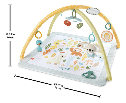 Fisher-price Baby Gimnasio Para Bebés Primeros Sentidos Multicolor