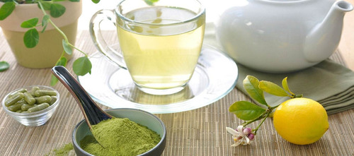 1 Planta De Moringa | Árbol De La Vida, Resistente A Sequía