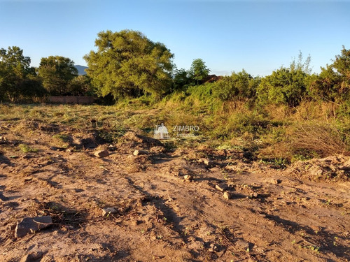 Imagem 15 de 16 de Ótimo Terreno Para Condomínio Fechado Ou Pavilhões Comerciais. - 987691