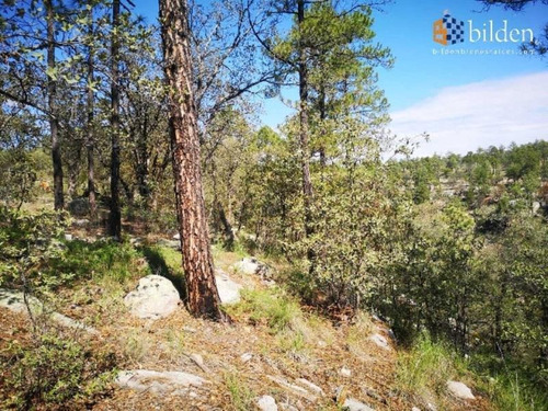 Imagen 7 de 9 de Terreno En Venta Sierra Durango