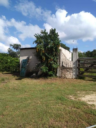 Imagen 9 de 15 de Rancho En Venta En Tunkas Yucatan