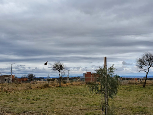 3 Lotes Todos Juntos O Por Separado