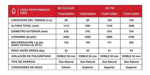 Imagen 5 de 5 de Termotanque A Gas Natural Rheem Tgnc080rh Gris Oscuro 80 L