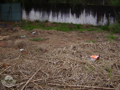 Imagem 3 de 8 de Terreno À Venda Em Nova Campinas - Te001816