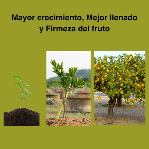 Imagen 2 de 5 de Fructy K 1kg Fertilizante Foliar Frutales Alto En Potasio
