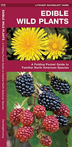 Book : Edible Wild Plants A Folding Pocket Guide To Familia