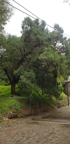 Divino Terreno En Fracc. Limoneros, Cuernavaca