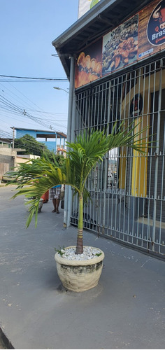 Conjunto Comercial De 3 Lojas A Uma Quadra Da Praça Do 7 De Abril Em Paciencia